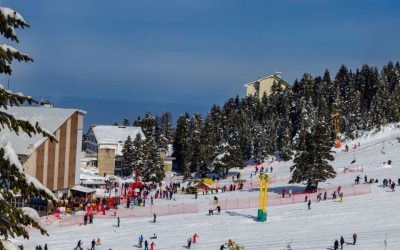 Lancer une entreprise à la montagne : Le business de la station de ski